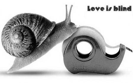 L'amour rend aveugle !!!