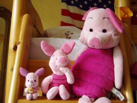 mes porcinnets
