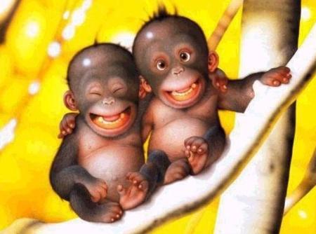 2 ptits singes